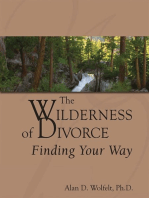 The Wilderness of Divorce: Finding Your Way