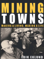 Mining Towns: Making a Living, Making a Life