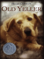 Old Yeller