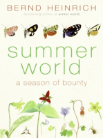 Summer World: A Season of Bounty