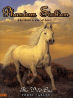 Phantom Stallion #1