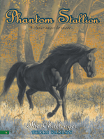 Phantom Stallion #6
