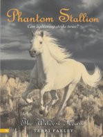 Phantom Stallion #16