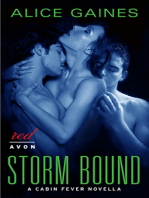 Storm Bound: A Cabin Fever Novella