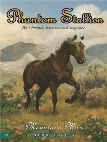 Read Phantom Stallion 17 Mountain Mare Online By Terri Farley Books