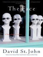 The Face: A Novella in Verse