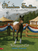 Phantom Stallion #15