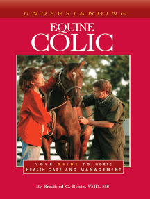 Understanding Equine Colic