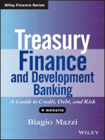 Treasury Finance and Development Banking: A Guide to Credit, Debt, and Risk