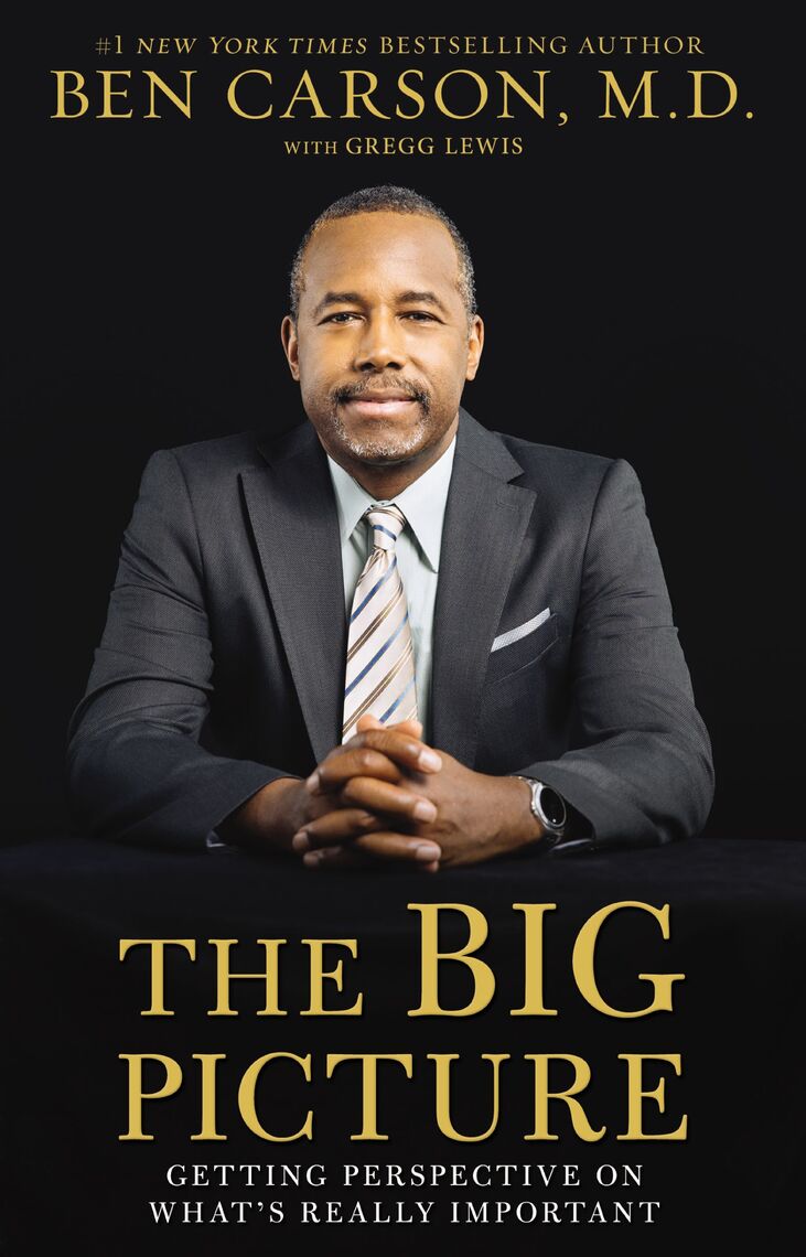 Read The Big Picture Online By Ben Carson M D And Gregg Lewis Books