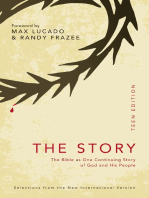 NIV, The Story