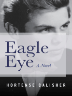 Eagle Eye: A Novel