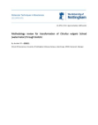 Methodology review for transformation of Citrullus vulgaris Schrad (watermelon) through biolistic
