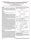 A Comprehensive Review of Fuel Cell and its Types