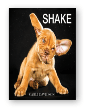 Shake