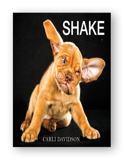 Shake