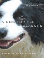 A Dog for All Seasons