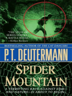 Spider Mountain: A Novel