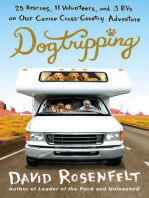 Dogtripping