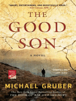 The Good Son