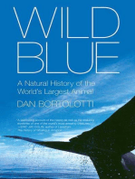 Wild Blue: A Natural History of the World's Largest Animal
