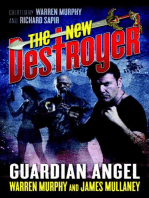 The New Destroyer: Guardian Angel