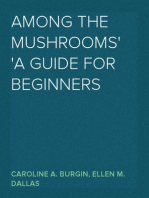 Among the Mushrooms
A Guide For Beginners