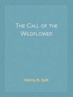 The Call of the Wildflower