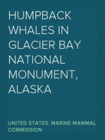 Humpback Whales in Glacier Bay National Monument, Alaska