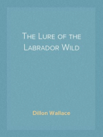 The Lure of the Labrador Wild