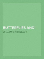 Butterflies and Moths
(British)