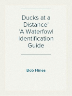 Ducks at a Distance
A Waterfowl Identification Guide