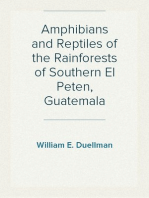 Amphibians and Reptiles of the Rainforests of Southern El Peten, Guatemala