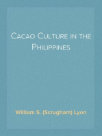 Cacao Culture in the Philippines