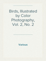 Birds, Illustrated by Color Photography, Vol. 2, No. 2
August, 1897