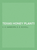 Texas Honey Plants