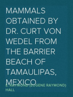Mammals Obtained by Dr. Curt von Wedel from the Barrier Beach of Tamaulipas, Mexico