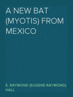 A New Bat (Myotis) From Mexico