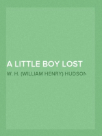 A Little Boy Lost