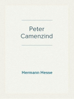 Peter Camenzind