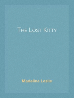 The Lost Kitty