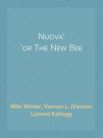 Nuova
or The New Bee