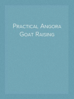 Practical Angora Goat Raising