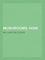 Mushrooms: how to grow them
a practical treatise on mushroom culture for profit and pleasure