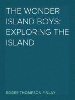 The Wonder Island Boys: Exploring the Island