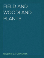 Field and Woodland Plants