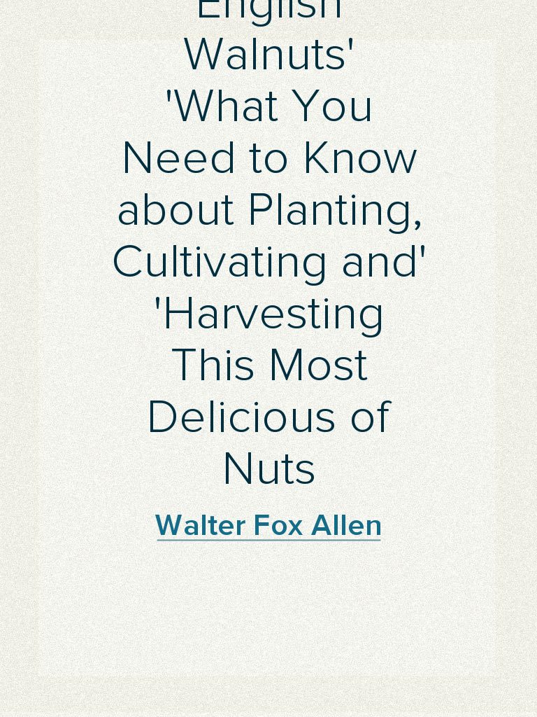 English Walnuts What You Need to Know about Planting, Cultivating and ...