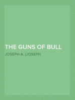 The Guns of Bull Run