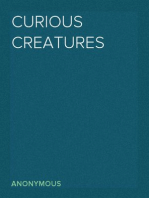Curious Creatures