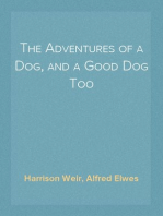 The Adventures of a Dog, and a Good Dog Too